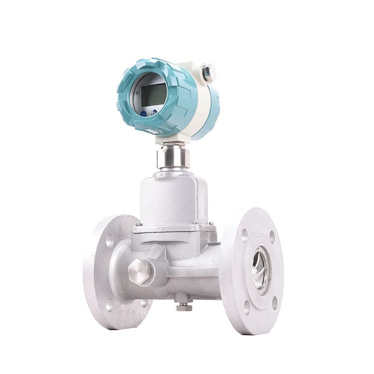 products 上传图片 - Swirl-meter-flanged5