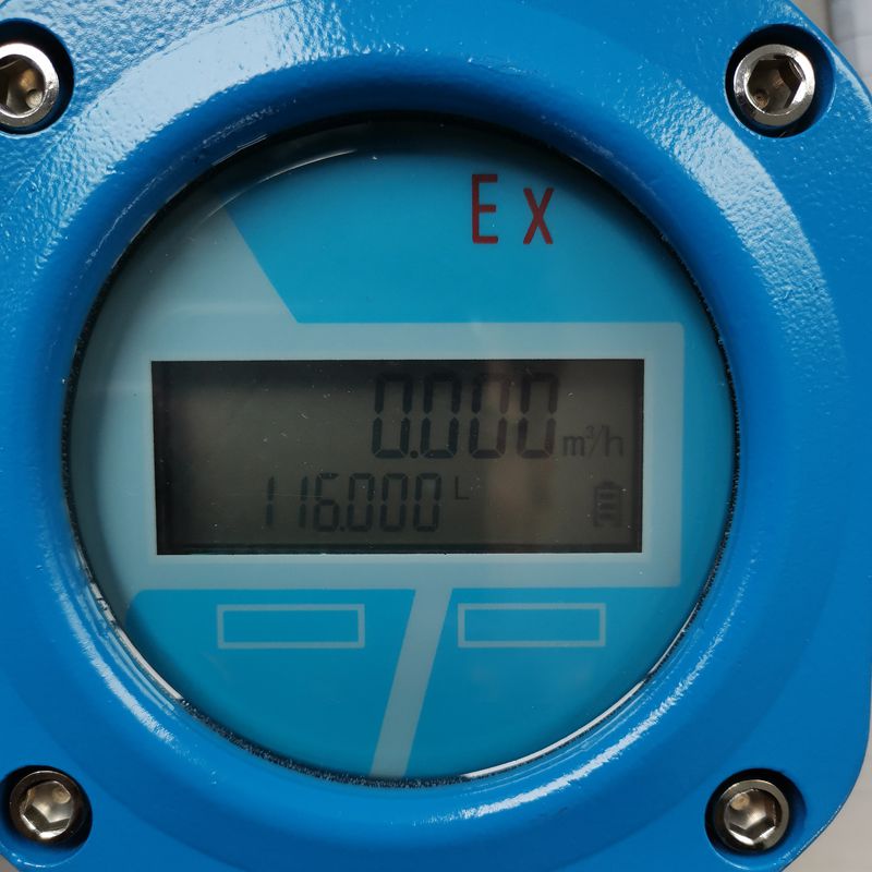 products 上传图片 - oval-gear-flow-meter-display2